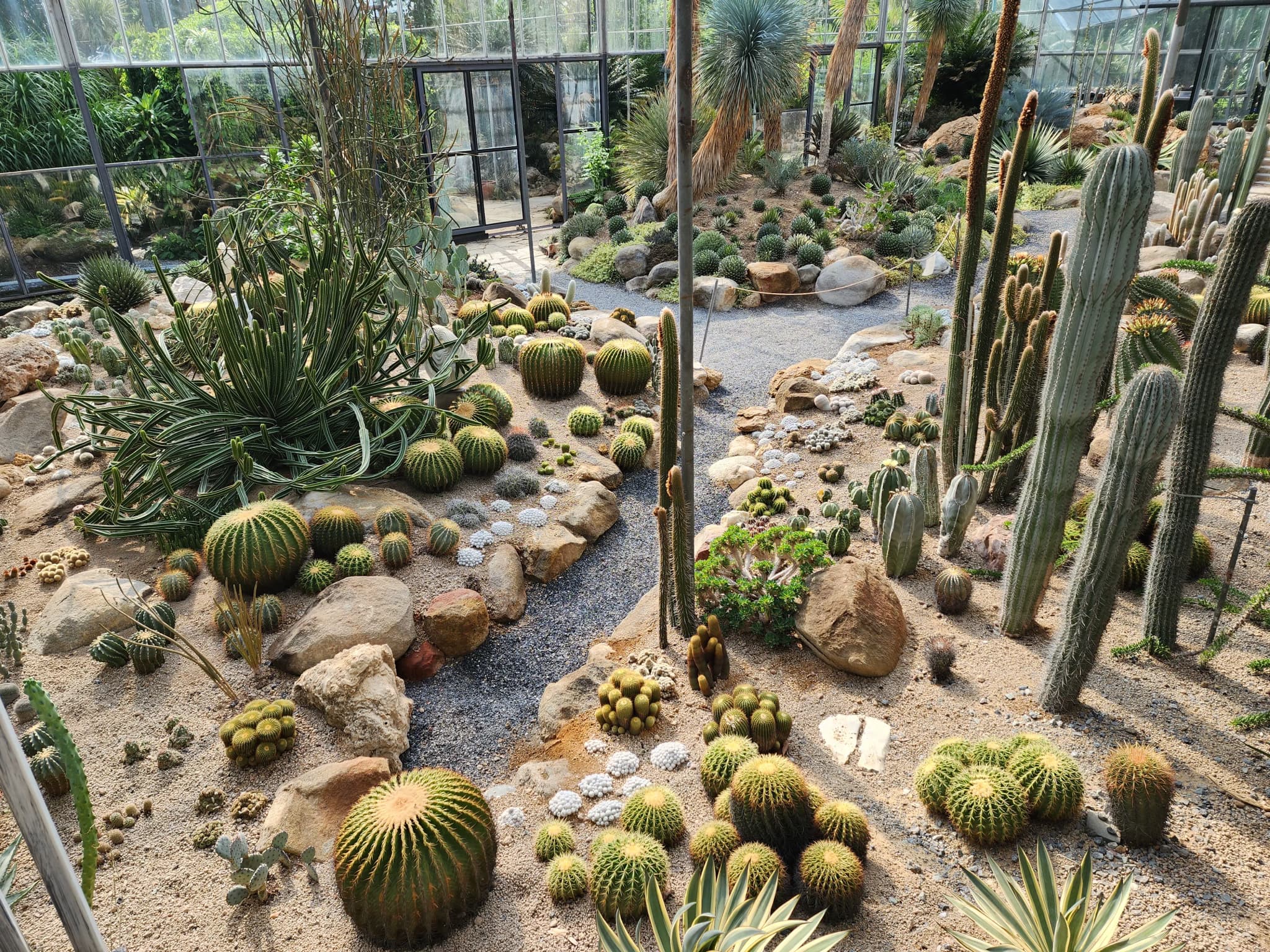 botanist cafe