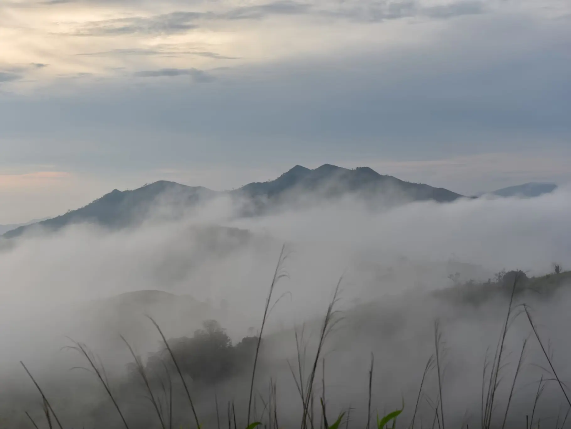 sea or mountain cover